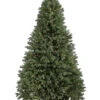 Lit Colorado Spruce Christmas Tree 7.5' X 54D 1000 LEDs Warm White Glow 1935 Branch Tips