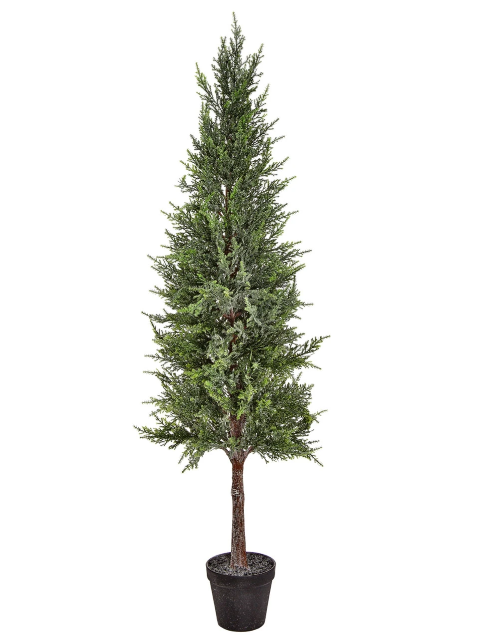 42" Potted Frost Spruce Tree 1 42" Potted Frost Spruce Tree