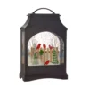 11" Birds On Fence Lighted Water Lantern