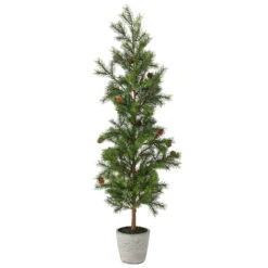 36" Pencil Princess Pine Tree In A Cement Pot