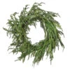 24" Iced Garden Norfolk Wreath