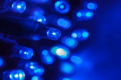 Lumineo 750 LED Blue Lights Green Wire 6 Lumineo 750 LED Blue Lights Green Wire -Xmas Decor House Store Best Blue LED Christmas Lights 960x639 05246.1571347367