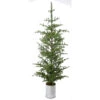 92" Galvanize Potted Natural Touch Nobel Fir Tree