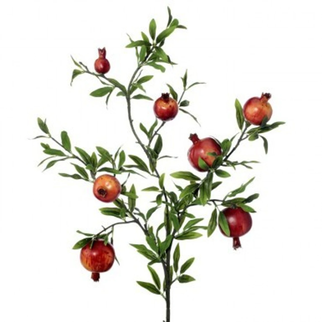 30" Pomogranite Spray 1 30" Pomogranite Spray