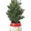 10.5" Cedar Tree In Snowman Container