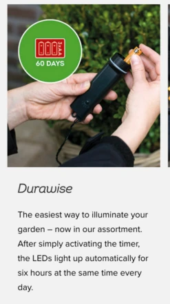 Lumineo 48 LED Warm White Twinkle Lights Black Wire -Xmas Decor House Store Screen Shot 2018 11 02 at 10.27.26 PM 21936.1541213307