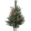 26" LED Potted Forrest Berry Fir Tree