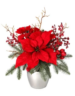 16" Poinsettia Berry Pine Arrangement